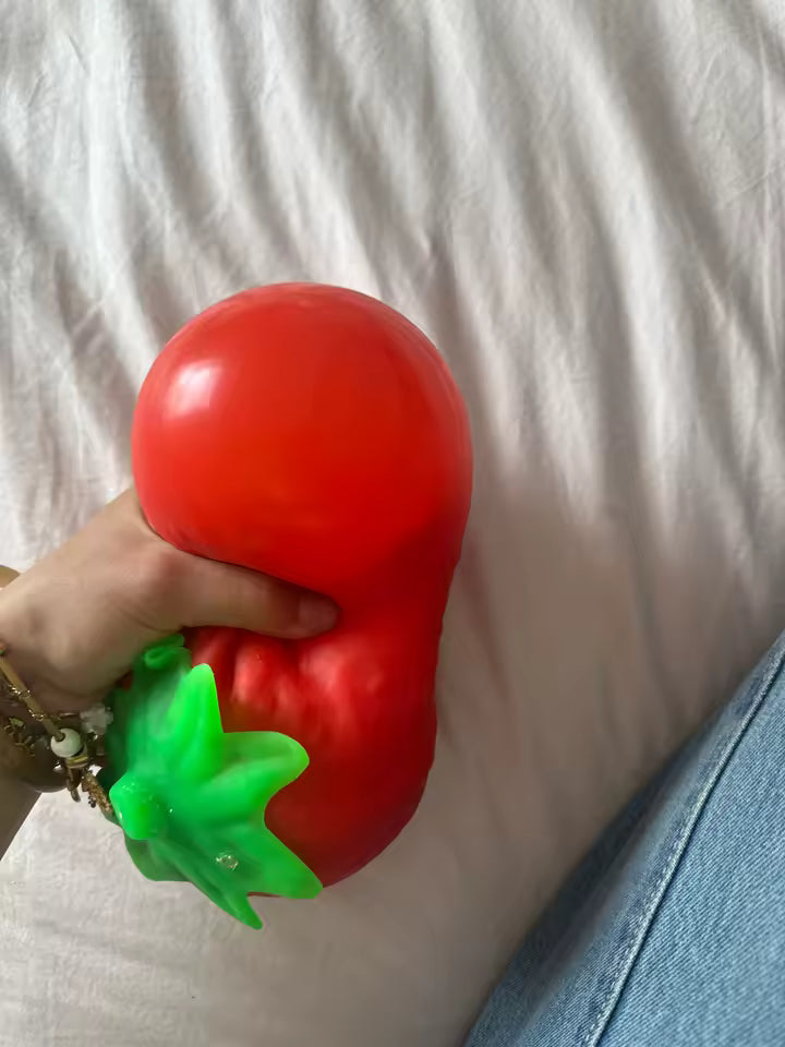 Ovia Giant Strawberry Squishy Toy